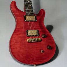 Paul Reed Smith [PRS] Custom22 20th Anniversary Scarlet Red Artist Package【委託販売品】