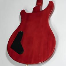 Paul Reed Smith [PRS] Custom22 20th Anniversary Scarlet Red Artist Package【委託販売品】_6