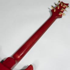 Paul Reed Smith [PRS] Custom22 20th Anniversary Scarlet Red Artist Package【委託販売品】_8