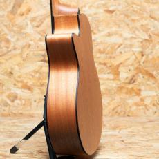 Furch Guitars Blue Gc-CM a_5