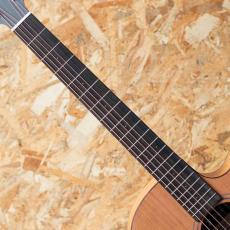 Furch Guitars Blue Gc-CM a_6
