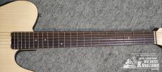 SCHECTER OL-FL-N-2 SNTL_2