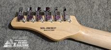 SCHECTER OL-FL-N-2 SNTL_6