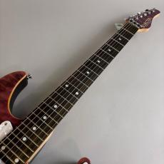 SCHECTER SD-2-24/AL/R Purple_3