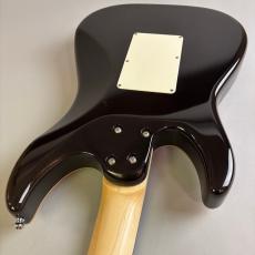 SCHECTER SD-2-24/AL/R Purple_10