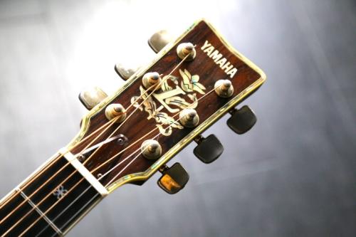 YAMAHA L-55　1981年　ハカランダ　テリー中本さん