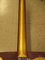 Monogram MGT-CTM GOLD_7