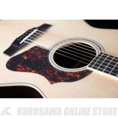Morris FE-101 HAND MADE PREMIUM (お取り寄せ)【ONLINE STORE】_7