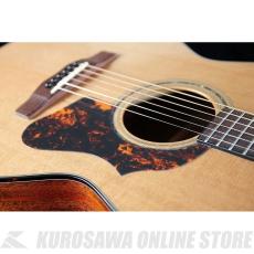 Morris FE-91 HAND MADE PREMIUM (お取り寄せ)【ONLINE STORE】_7