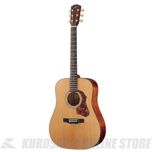 Morris M-82 NAT HAND MADE PREMIUM (お取り寄せ)【ONLINE STORE】