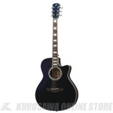 Morris R-15 MO HAND MADE PREMIUM (お取り寄せ)【ONLINE STORE】