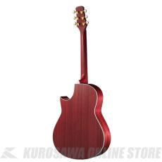Morris TC-16 SPK HAND MADE PREMIUM (お取り寄せ)【ONLINE STORE】_2