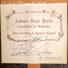 Antonio Raya Pardo　[アントニオ・ラジャ・パルド] modelo Torres　No.79_5