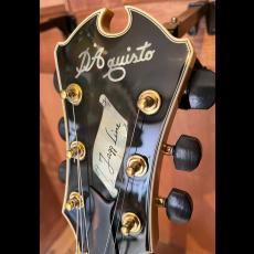 D'Aquisto DQ-JZ Jazz Line_5