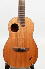K.Yairi Nocturne All Mahogany_3