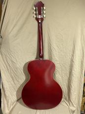 Epiphone  E422T Century _2