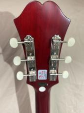 Epiphone  E422T Century _4