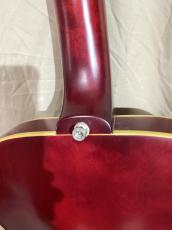 Epiphone  E422T Century _6