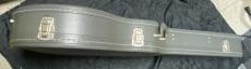 Epiphone  E422T Century _12