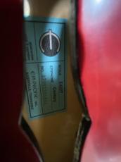 Epiphone  E422T Century _14
