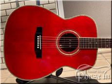 Morris MF-50 / FISHMAN P.U.増設_2