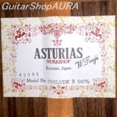Asturias　[アストリアス] プレリュードS No.43096　 _5