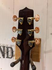 Takamine PTU731KC SP08 【限定15本】_7