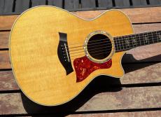 Taylor 812ceLTD_2