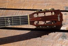 Taylor 812ceLTD_5