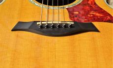 Taylor 812ceLTD_8