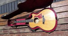 Taylor 812ceLTD_14