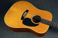 Martin D-76_11