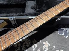 Skervesen Skervesen Velociraptor 6-Strings / Trans Black Top_4