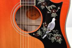 Gibson 【クロサワ横浜店】【ナット幅39mm】【マホガニーネック】Custom Shop 1960's DOVE【48回無金利分割可能】_5