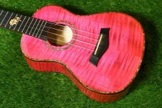 UK BOY GSF8C PINK Concert