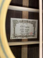 ASTURIAS E.C Emperor  OM-45 スタイル 最高級モデル!_13