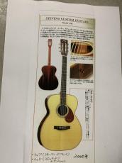 STEVENS CUSTOM GUITARS Model OM-P Made in Germany!_16