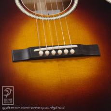 Switch SL-3 Bee (Vintage Sunburst)_8