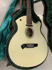 Parker Event Series P6E PWH マグネットPU +ピエゾPU ブレンドタイプ!_2