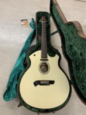 Parker Event Series P6E PWH マグネットPU +ピエゾPU ブレンドタイプ!_3
