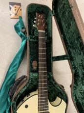 Parker Event Series P6E PWH マグネットPU +ピエゾPU ブレンドタイプ!_4