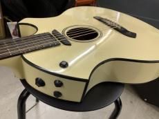 Parker Event Series P6E PWH マグネットPU +ピエゾPU ブレンドタイプ!_12