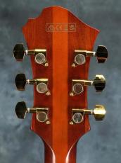 Ibanez  PM3C Natural Amber Low Gloss_11