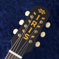 IRIS GUITAR COMPANY 【スペシャルプライス!】The DF Model Relic 【動画あり】【48回無金利】【買取・下取強化中!】【町田店】_3
