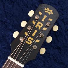 IRIS GUITAR COMPANY 【スペシャルプライス!】The MS-00 Model Relic 【現物動画あり】【48回無金利】【買取・下取強化中!】【町田店】_3