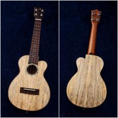 MAKOLELE No.331 '24 【現物動画あり】【USED】【コンサート】【48回無金利】【町田店】_4