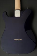 momose MT-TOCHI WSE'24/NJ -Hydrangea Blue Burst /HYD-BL-B- #20014【町田店】_8