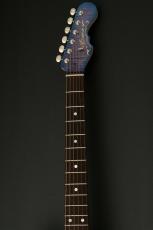 momose MJS-TOCHI WSE'24/NJ -Hydrangea Blue Burst / HYD-BL-B- #20020【町田店】_5