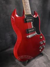 Edwards 2012 E-SG-90LT2/P Cherry_4
