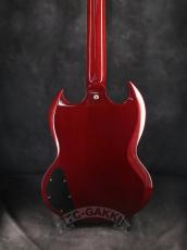 Edwards 2012 E-SG-90LT2/P Cherry_5